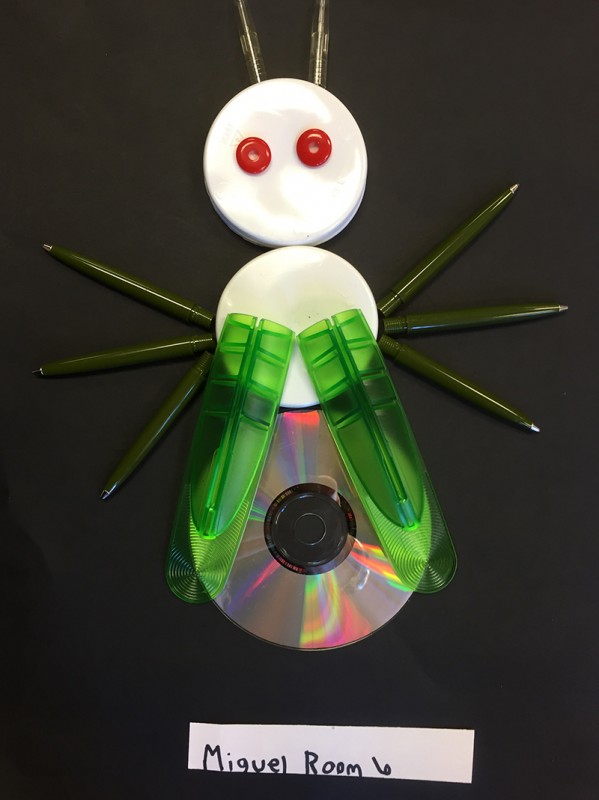 Insects Unit: What Makes an Insect an Insect? A Flexible Composition ...