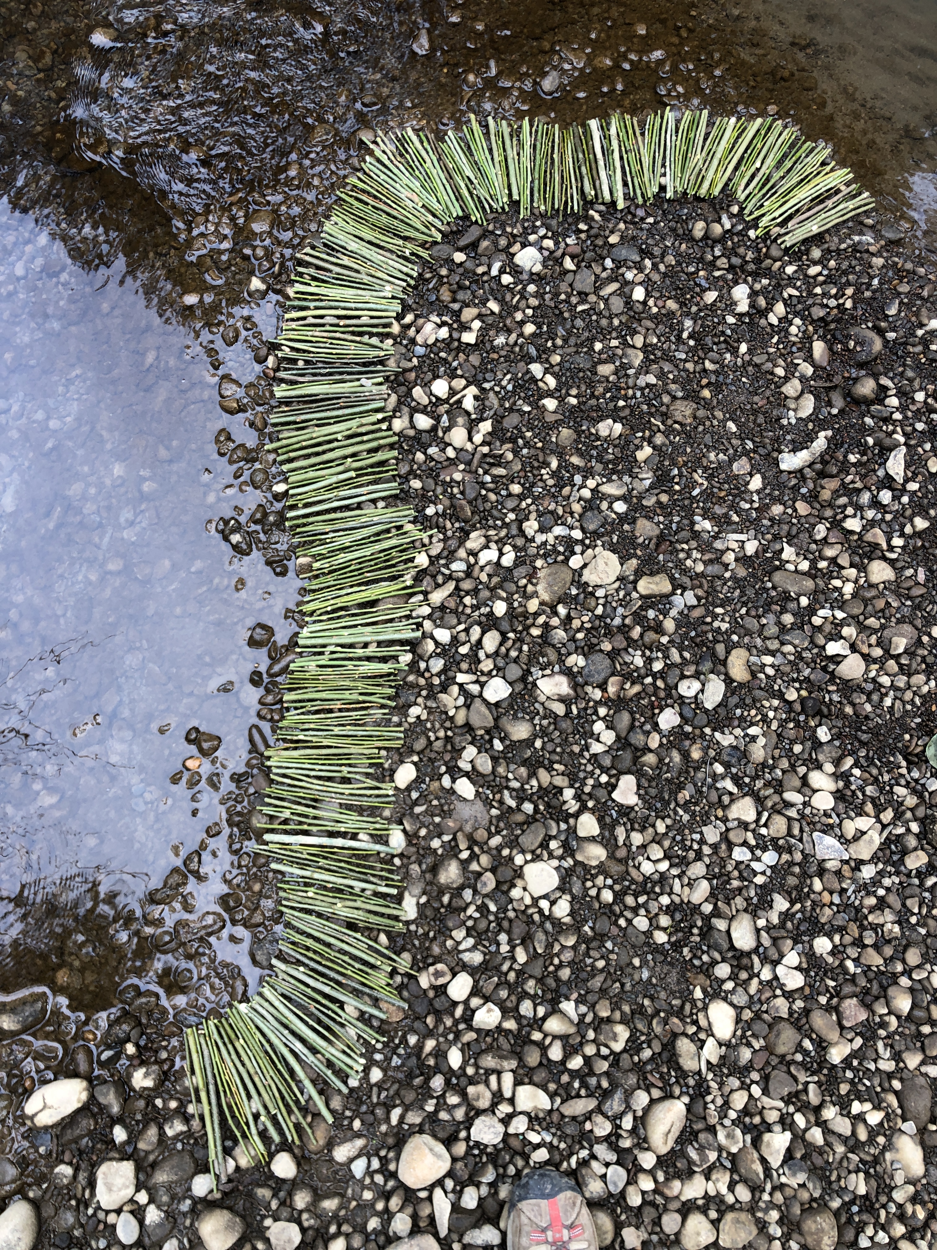 The Verdancy Project Art Residency March 2021