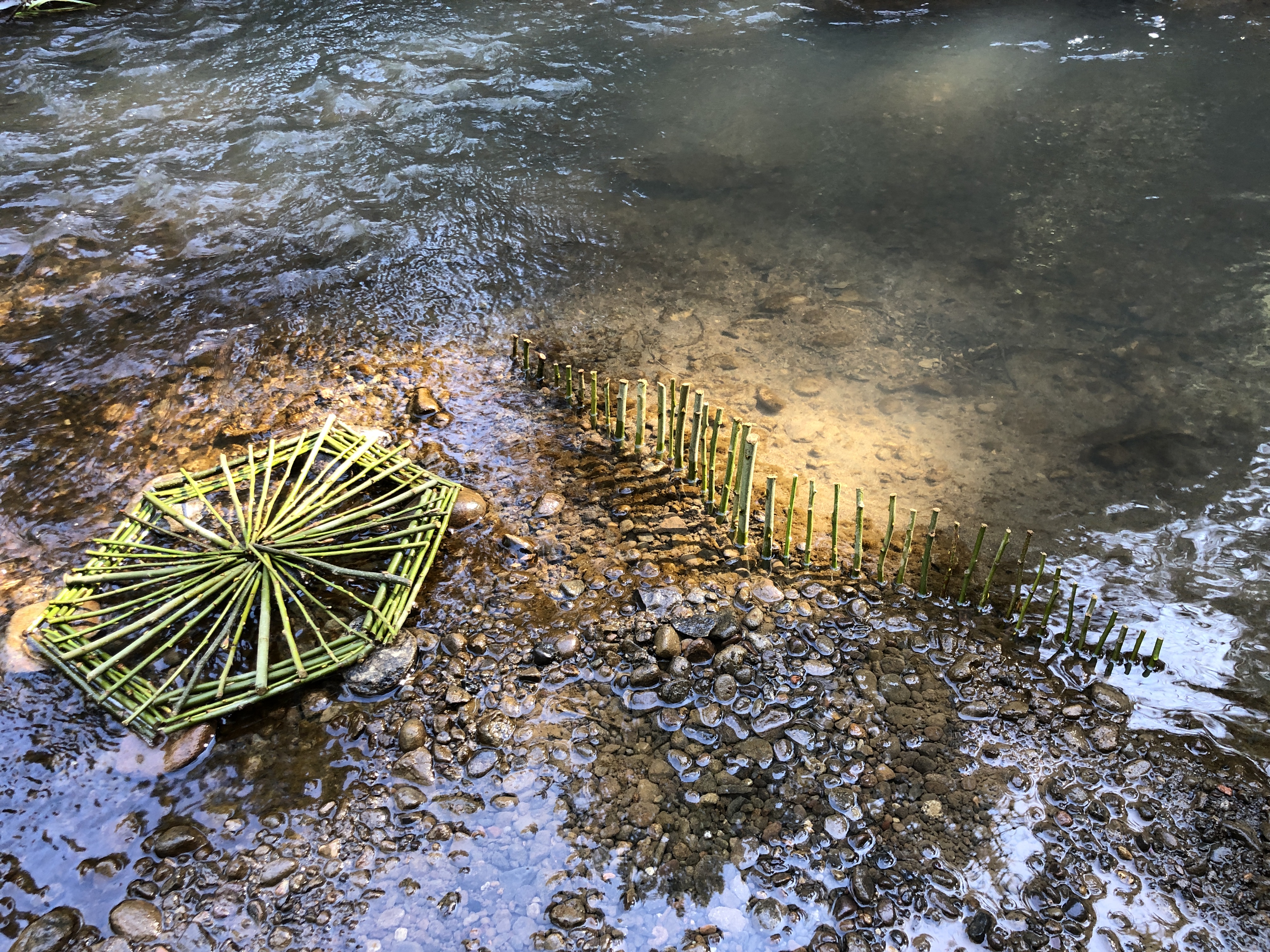 The Verdancy Project Art Residency March 2021