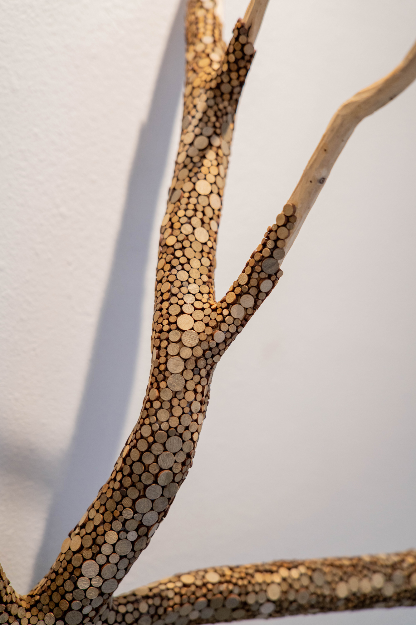 Liminal Wood: Seedskin (detail)